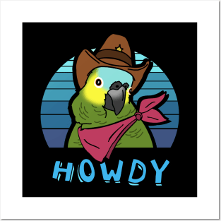 Aesthetic Howdy Cowboy Blue Fronted Amazon Posters and Art